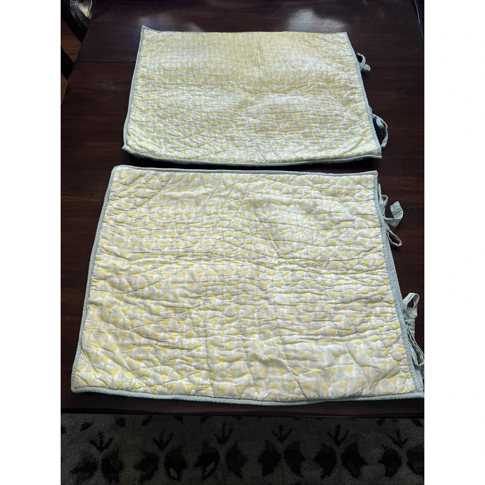 Pottery Barn sweet pair